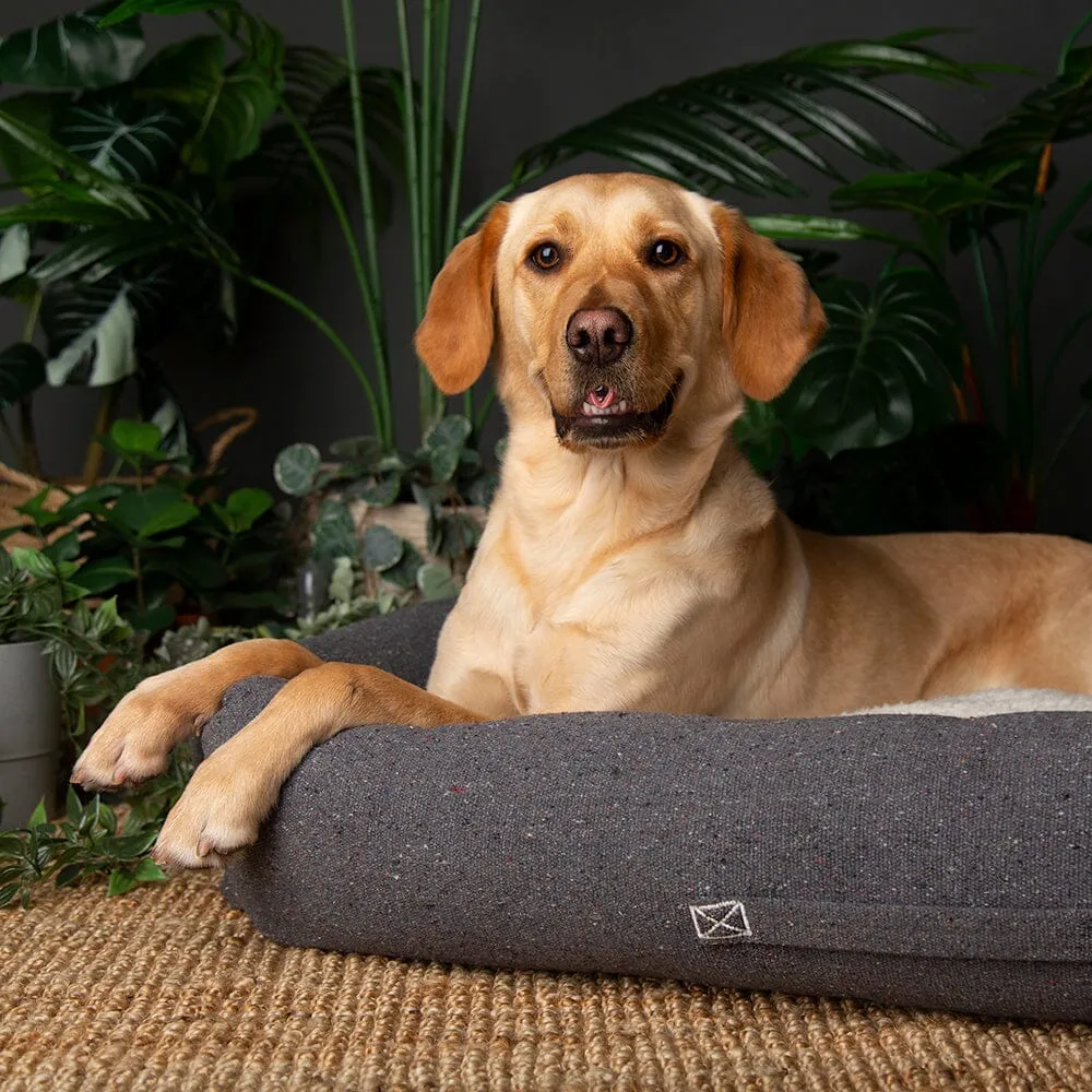 100% Recycled Eden Box Dog Bed - Charcoal Grey