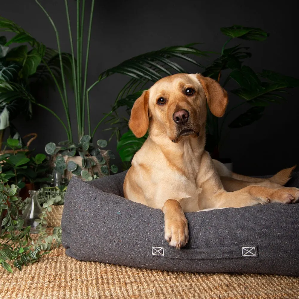 100% Recycled Eden Box Dog Bed - Charcoal Grey