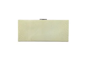 Calvin Klein - Mint Green and Blue Snakeskin Clutch