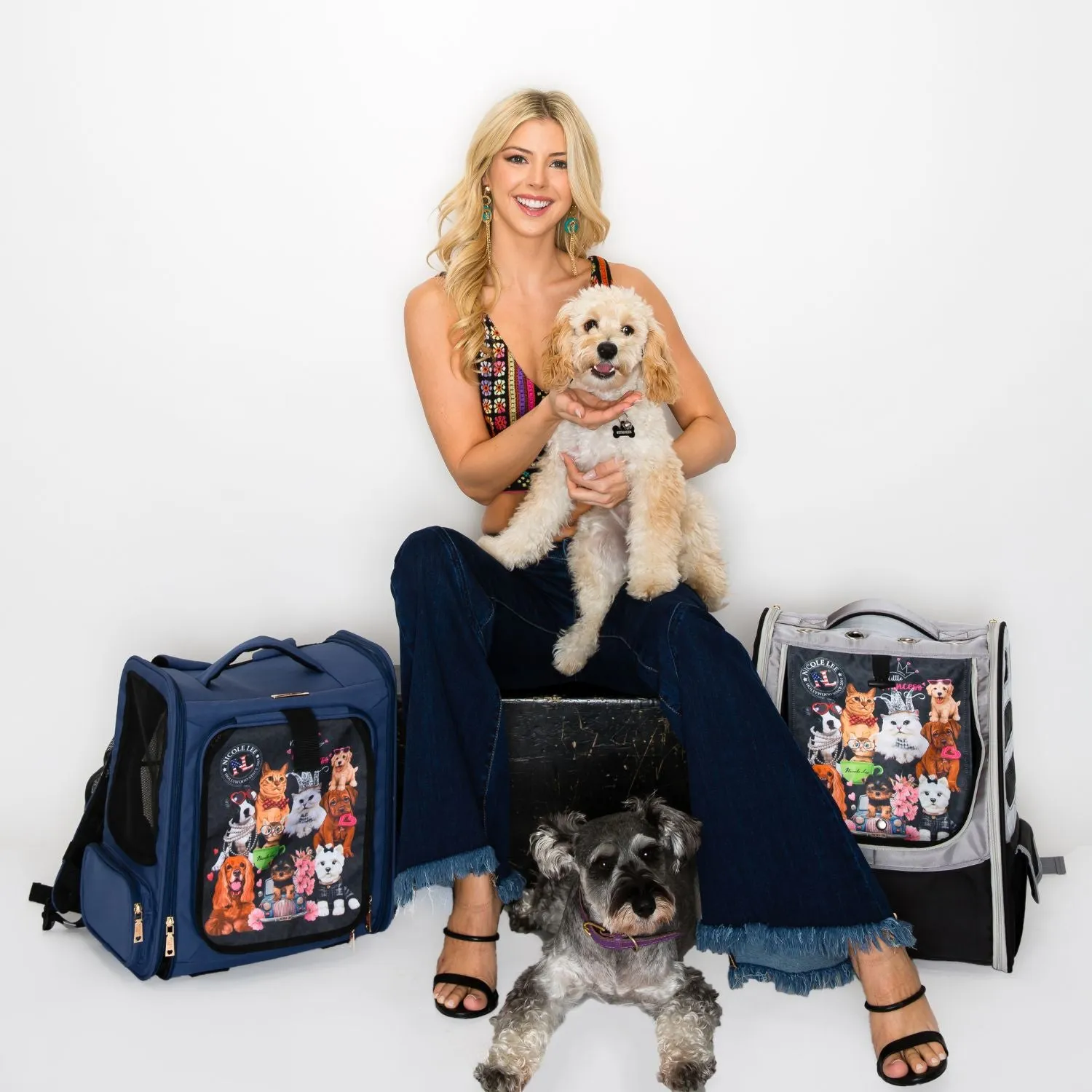 EXPANDABLE PET CARRIER BACKPACK