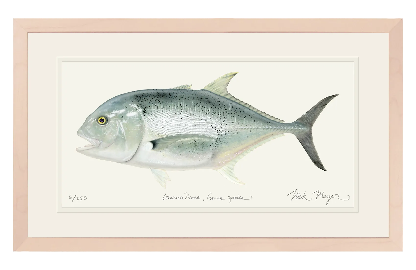 Giant Trevally 1 Print