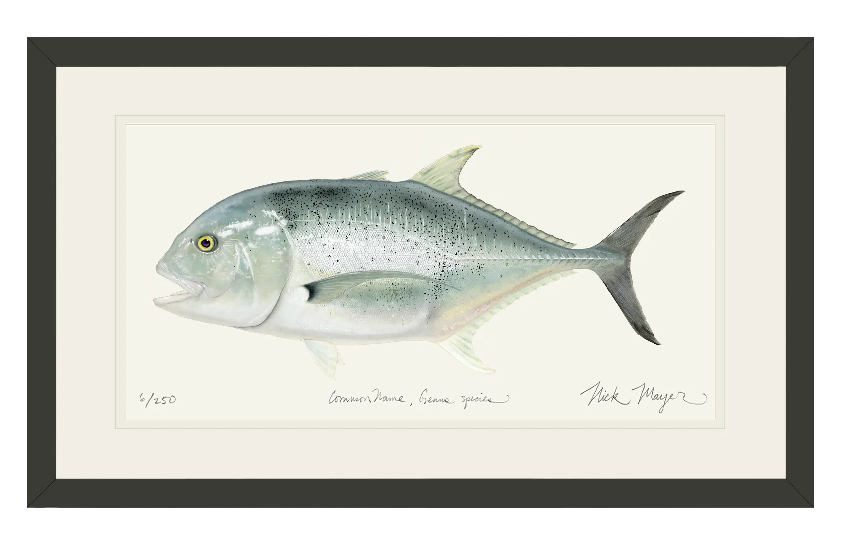 Giant Trevally 1 Print