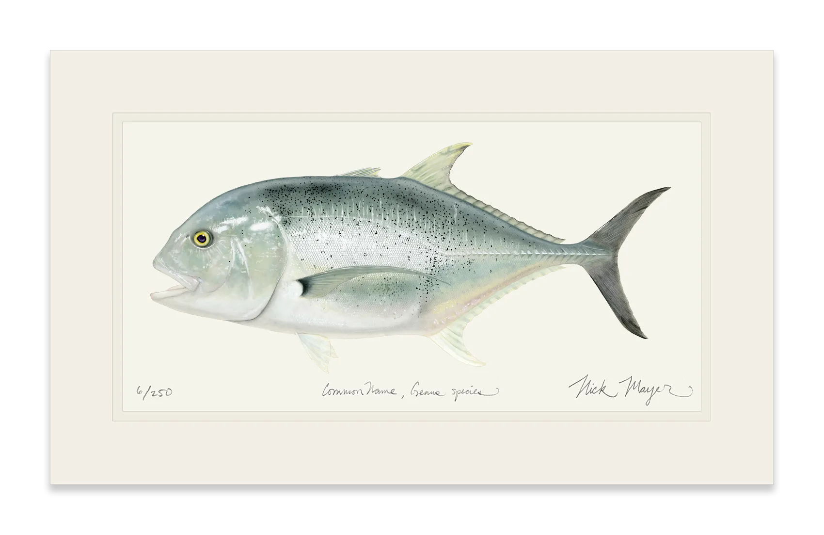 Giant Trevally 1 Print