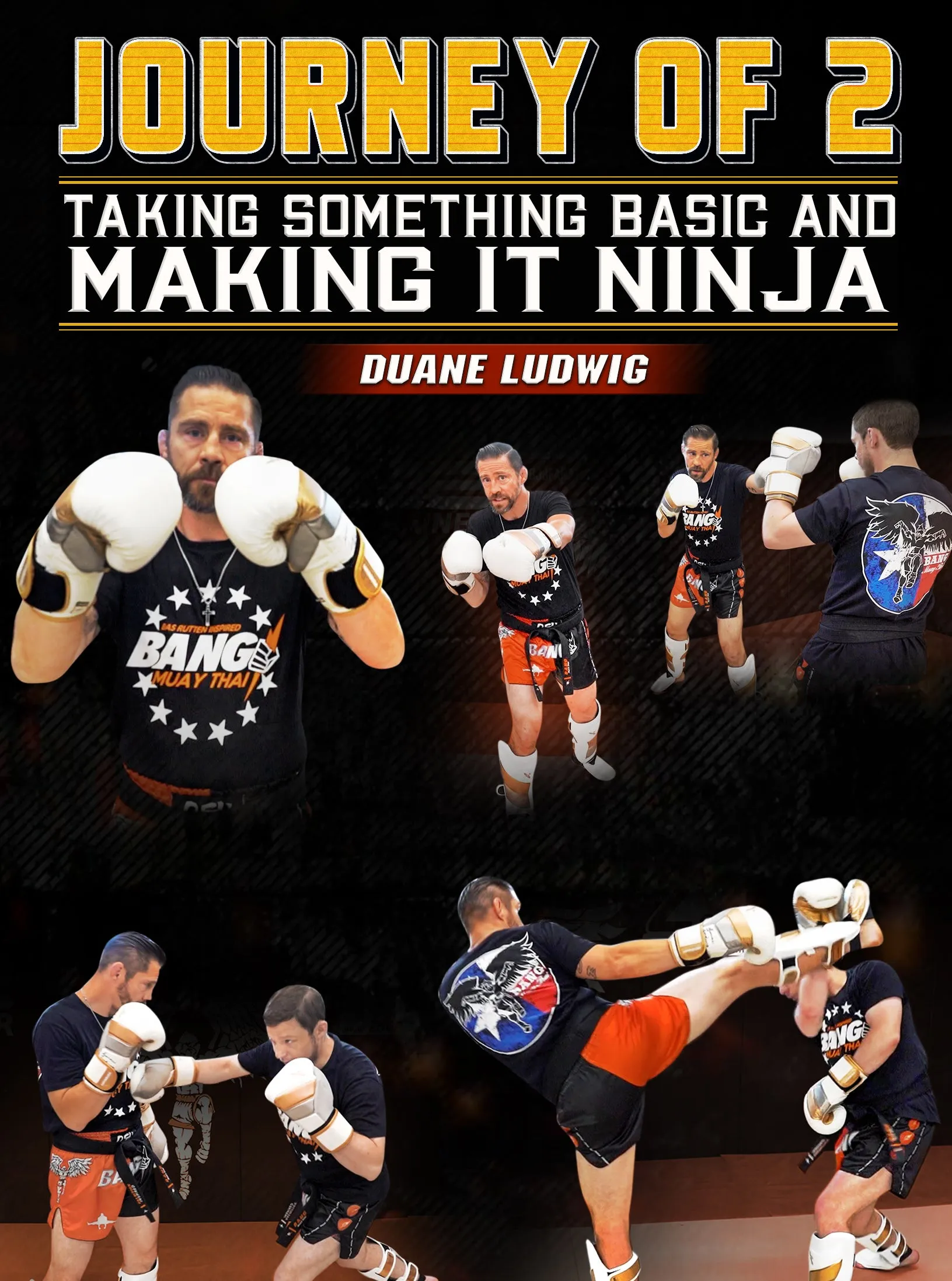 Journey Of 2: Taking Something Basic and Making ninja by Duane Ludwig