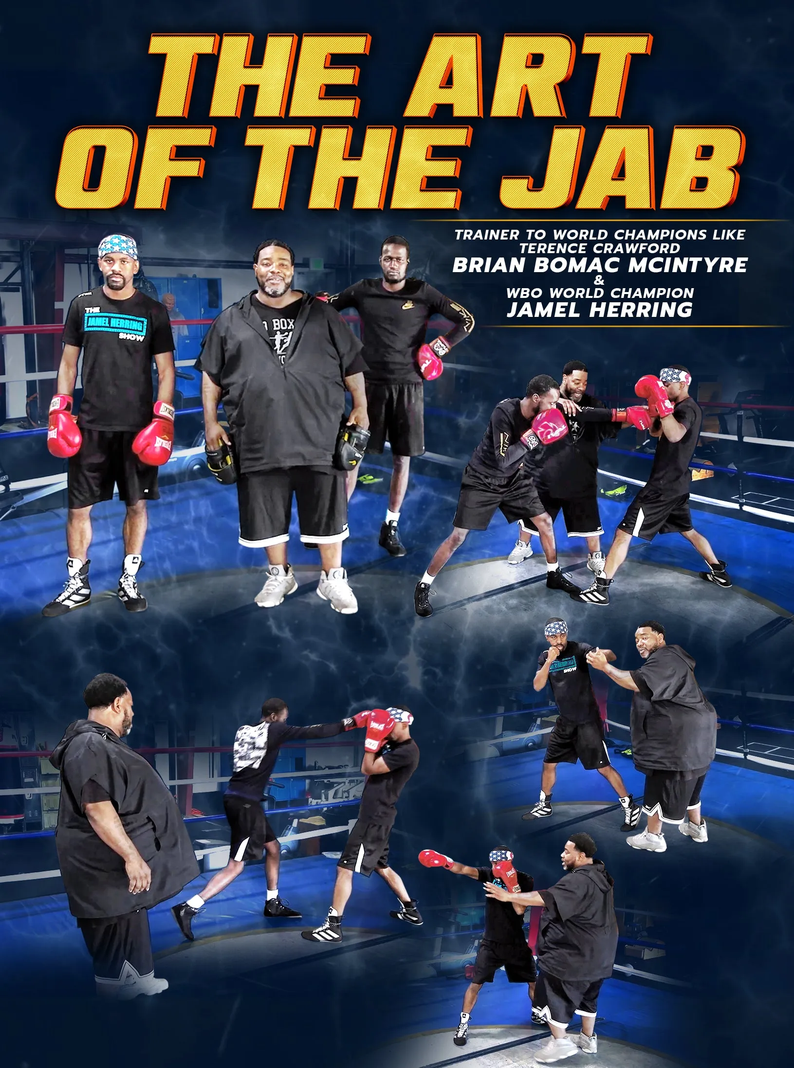 The Art Of The Jab by Brian Bomac Mcintyre